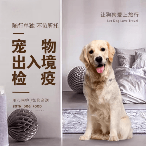 黔江区宠物托运到哥伦比亚猫狗宠物入境规定和