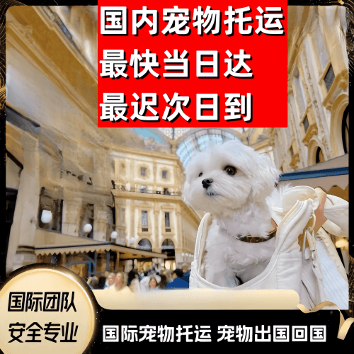 黔江区到澳大利亚（澳洲）宠物入境规定和要求